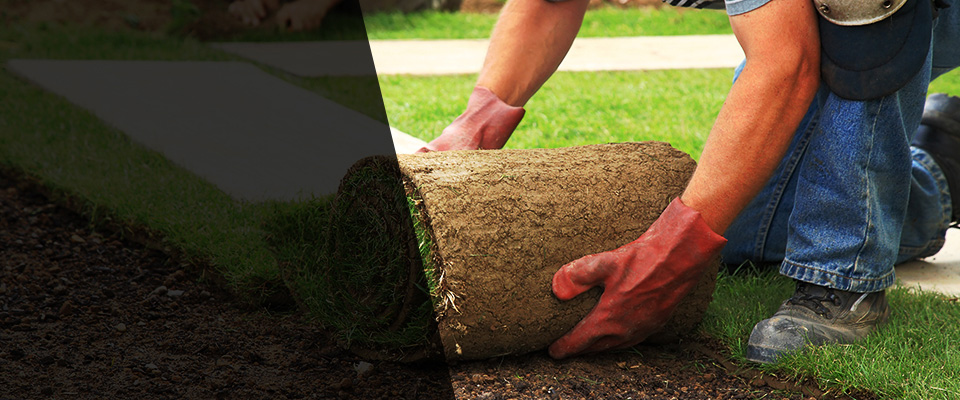 Mansfield Landscapers